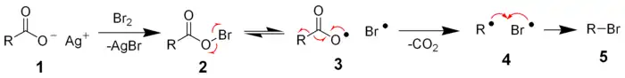 Radicalic mechanism of Hunsdiecker reaction