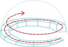 An igloo's snowbrick laying method