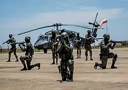 Brazilian Air Force Infantry