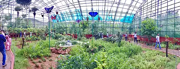 Inside Butterfly world