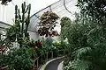 Inside the Botanic Gardens Palm House.