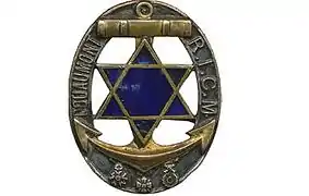 RICM Insignia with Dark Blue Star