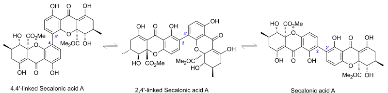 Isomerisation of 2,2’-, 2,4’-, and 4,4’-linked Secalonic acid A