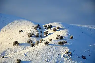 Snow in Mosha village on Haraz road