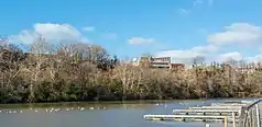 a river with some docks and a hillside