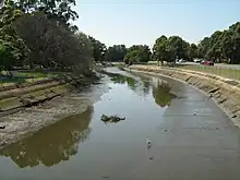 Iron Cove Creek at Timbrell Park