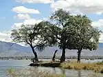 Island in the Zambezi River from Mana Pools National Park