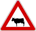 Cattle(formerly used )