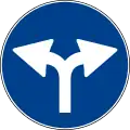 Right or left turn only ahead