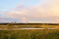 Järise lake in Järise village