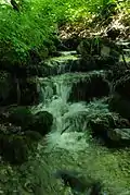 The river Jablanica - detail