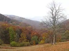 Mountain Jablanik in autumn