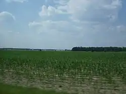 Farmland in western Jackson Township