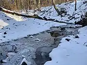 Fox Run In Forwood Preserve in Winter