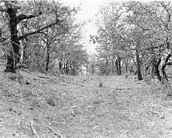 Jacksonville-to-Fort Klamath Military Wagon Road