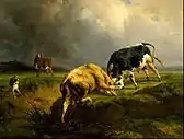 A bull fight