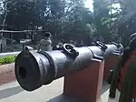 Jahan Kosa Gun