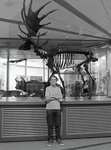 James Dickinson, with the Leeds Irish Elk, mount