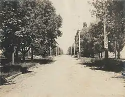 Jameson Avenue, 1899, looking north across G.T.R tracks.