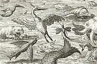 Mayfly by Jan Sadeler after Maerten de Vos, detail from The Fifth Day: The Creation of the Birds and Fishes, c. 1587