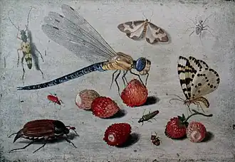 Jan van Kessel's A Dragon-fly, Two Moths, a Spider and Some Beetles, With Wild Strawberries, 17th century