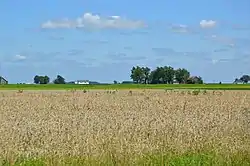 Fields northeast of Venedocia