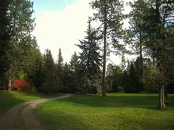 Lawn at Finch Arboretum