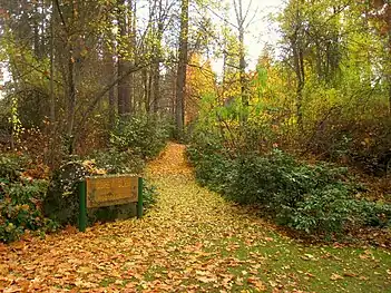 The rhododendron section: Corey Glen