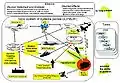 Joint Network Enabled Weapon (NEW) Capability Operational Concept Graphic (OV-1).