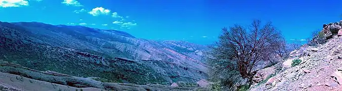 View of a landscape; a small desert hillside is in the foreground on the right, with a scrubby tree growing on it. In the middle distance on the left is a green, vegetated ridge. In the further distance (left to center) are the mountains, with long flat layers of rock lying along the top, their slope dipping gently to the right. The sky over it all is very blue.