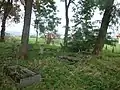 Old cemetery in Kaniczki