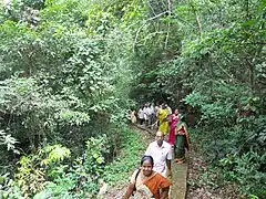 Karimbam Bio-diversity Center