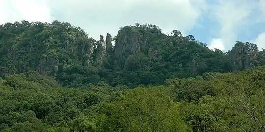 View of karstic formations in the Sierra de Tamaulipas, Municipality of Llera, Tamaulipas, Mexico.