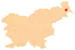 Location of the Municipality of Beltinci in Slovenia