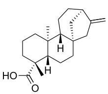 Kaurenoic acid