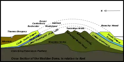 Cross-sectional diagram of eroded layers of the Wealden Dome, indicating locations of several towns