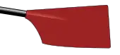 Image showing the rowing club's blade colours