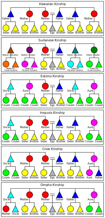 Charts of the six systems.