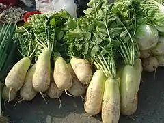 Korean radish