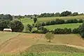 Kovačice - panorama