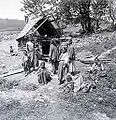 Romani people in Galicia in 1895