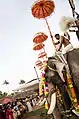 Kuda Mattam during pooram at Kuzhur Sree Subramanya Swami Temple