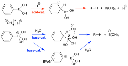 Acid and base catalyzed protodeboronation