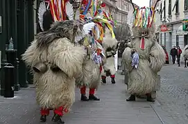 Kurentovanje festival in Ptuj