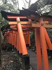 A fallen tree resting on a series of traditional wooden gates at a Shinto shrine; one of the gates has broken off near its base.