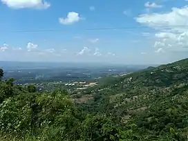 Hispaniolan moist forests, hills north of Santiago de los Caballeros, Dominican Republic and Haiti, the island of Hispaniola