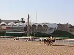 The grandstand at Labsah Camel Racing Track