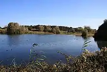 Lackford Lakes