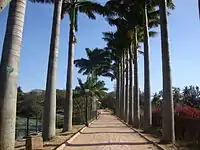 Lalbagh Lake pathway