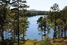 Lake Hamilton viewed from Garvan Woodland Gardens property.